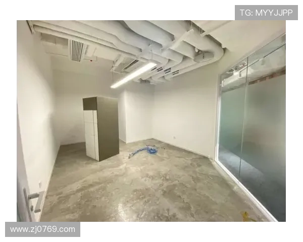 极限运动热潮下北京队的包夹战术分析与发展趋势探讨